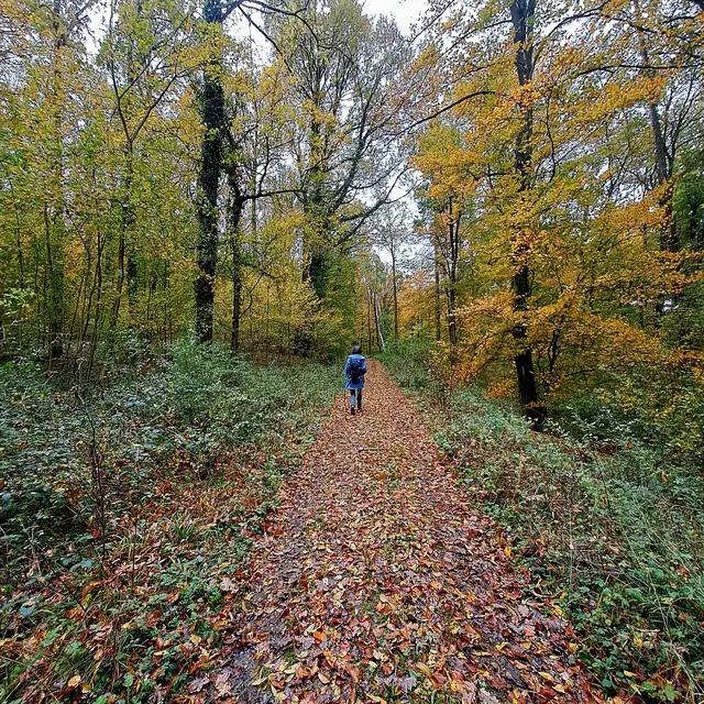 Foto: Eduard Warenik