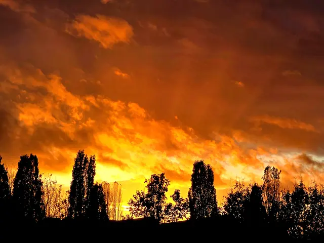 Foto: Heidrun Rosenberger