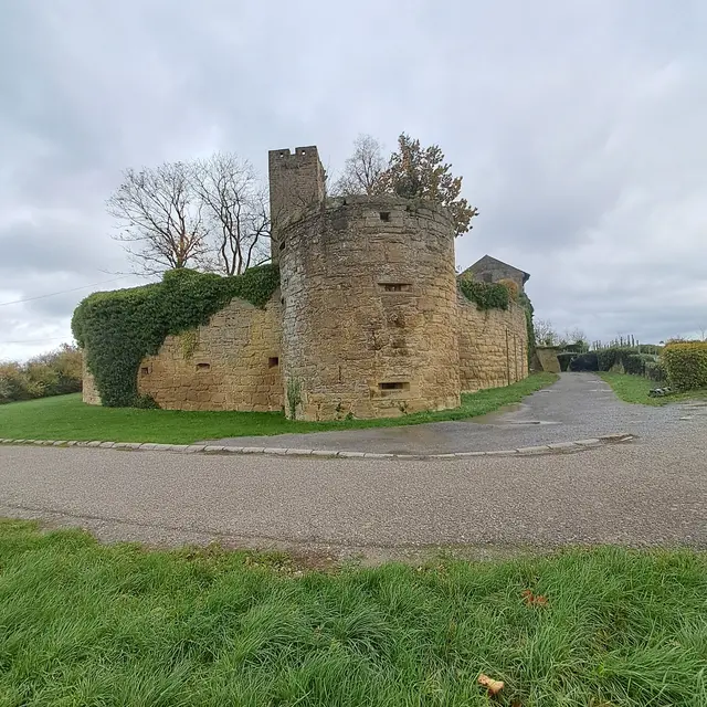 Foto: Eduard Warenik