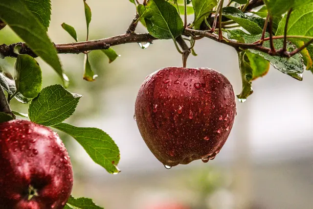 Foto: Stephanie Rüdele