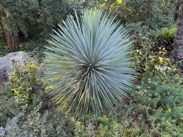 Foto: SAV OG Talheim