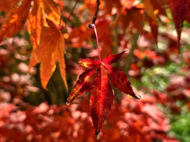 Foto: Heidrun Rosenberger