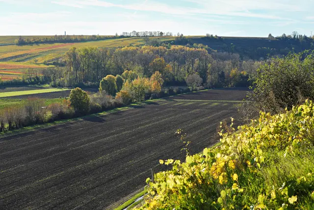 Blick in Richtung Seeloch | Foto: Ulrich Seidel