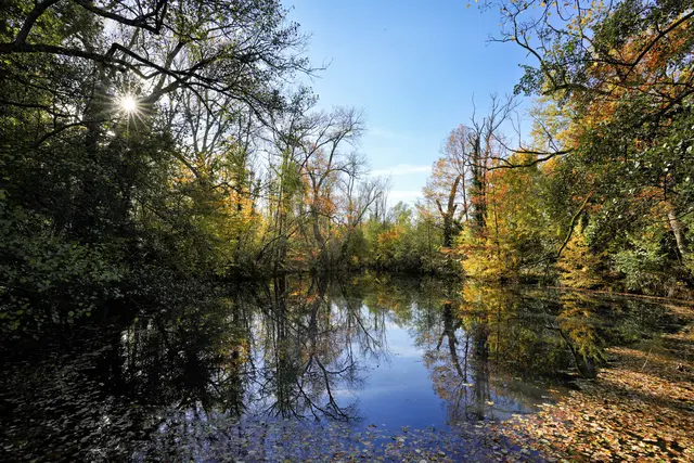 kleiner See mit Sonnenstern | Foto: Ulrich Seidel