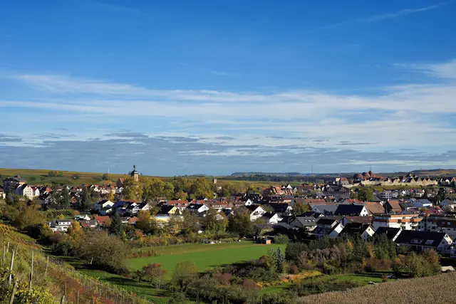 Lauffen | Foto: Ulrich Seidel