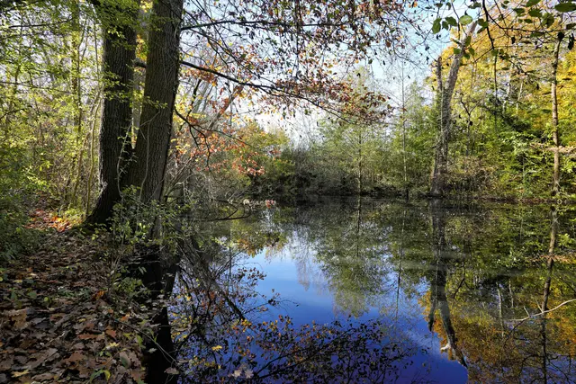 am kleinen See | Foto: Ulrich Seidel