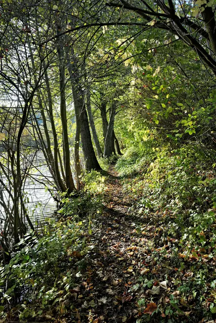 Weg am hinteren See | Foto: Ulrich Seidel
