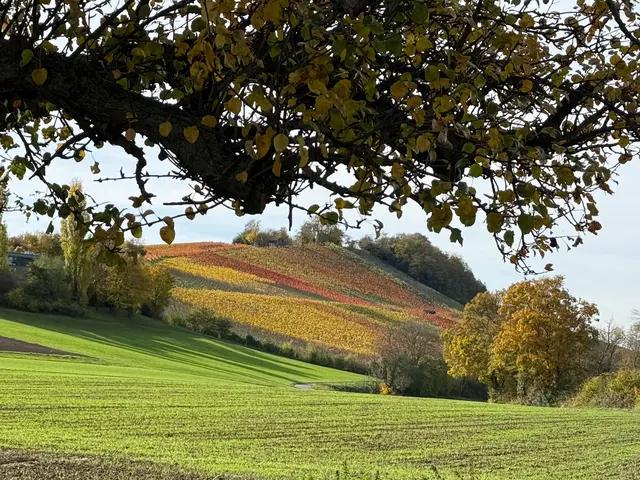 wieder eine Farbenpracht | Foto: E. Rosendorf