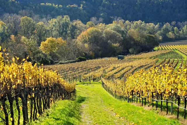 Weg zum Seeloch | Foto: Ulrich Seidel