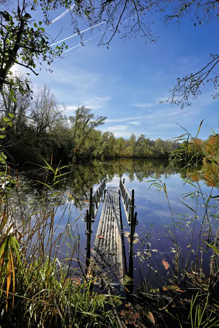 kleiner Steg | Foto: Ulrich Seidel