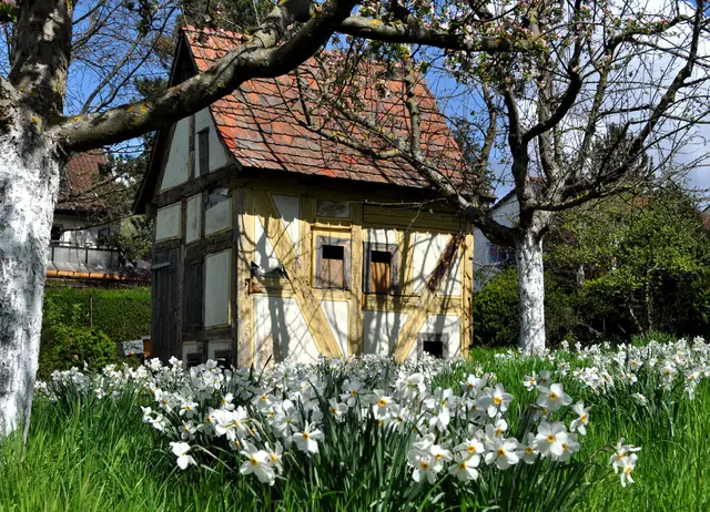 Die kleinen alten Häuschen und Pavillons im Botanischen Obstgarten sind immer ein Hingucker. | Foto: Daniela Somers
