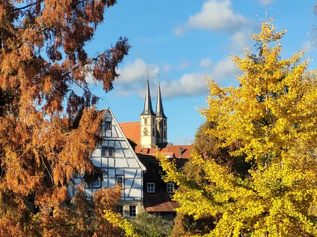 Auch auf diesem Bild säumen links die rotbraunen Blätter des Mammutbaumes und rechts des Gingko den Blick auf die Türme der Bad Wimpfener Stadtkirche. | Foto: Hans Peter Schmitt