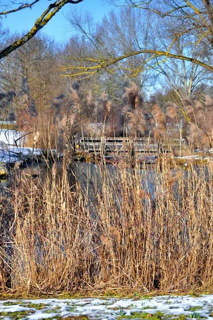 Wertwiesenpark Heilbronn. Zu jeder Jahreszeit schön. Und im See kann man Wasservögel und Nutrias beobachten. Auch Eichhörnchen tummeln sich im Park. | Foto: Daniela Somers