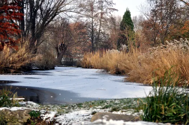 Der Wertwiesenpark in Heilbronn ist ein Resultat der Landesgartenschau Heilbronn aus dem Jahr 1985. Auch hier kann man schön spazieren gehen. | Foto: Daniela Somers