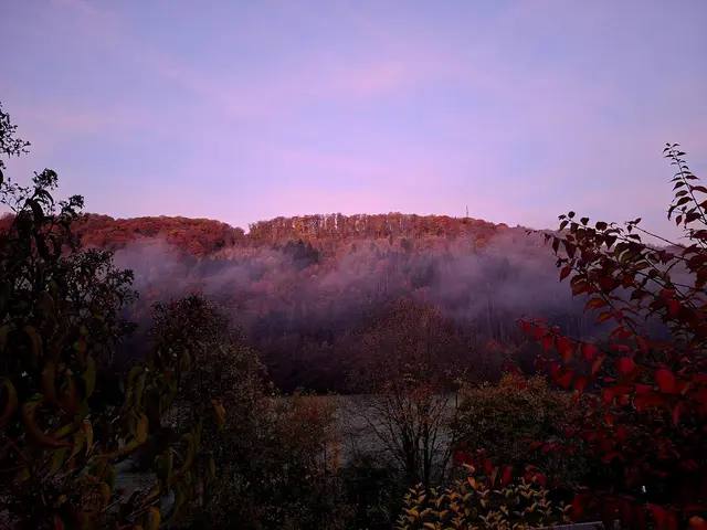 Morgens bei 0°C | Foto: Ralf Röser