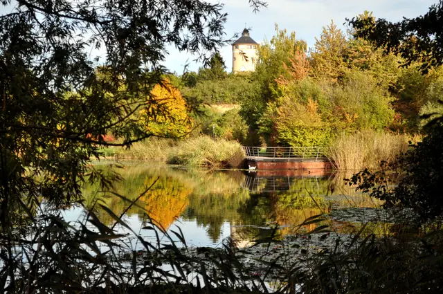 Und auf keinen Fall darf man den Ziegeleipark in Heilbronn-Böckingen vergessen. 1995 wurde der Park eröffnet und ist somit der jüngste Park in Heilbronn. Vieles im Park ist naturbelassen. Der See mit Blick auf den Wasserturm ist immer wieder schön. | Foto: Daniela Somers