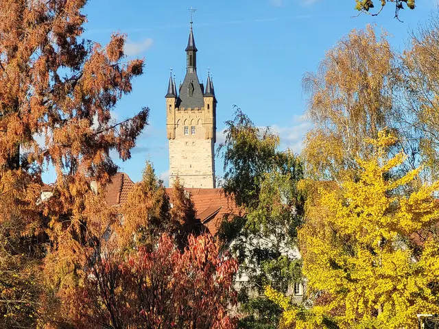 Der Blaue Turm in Bad Wimpfen zwischen einem Urwelt-Mammutbaum und einem Gingko . . . | Foto: Hans Peter Schmitt