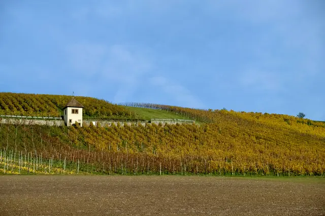 Karmeliterhaus | Foto: ED