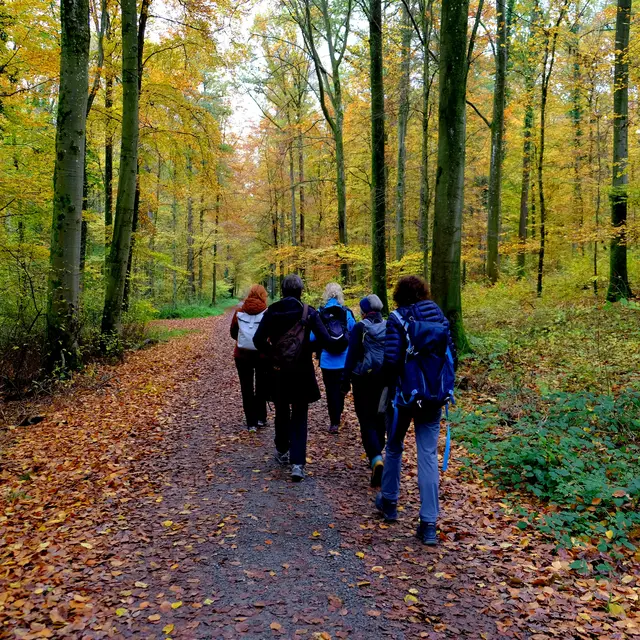 Foto: Eduard Warenik