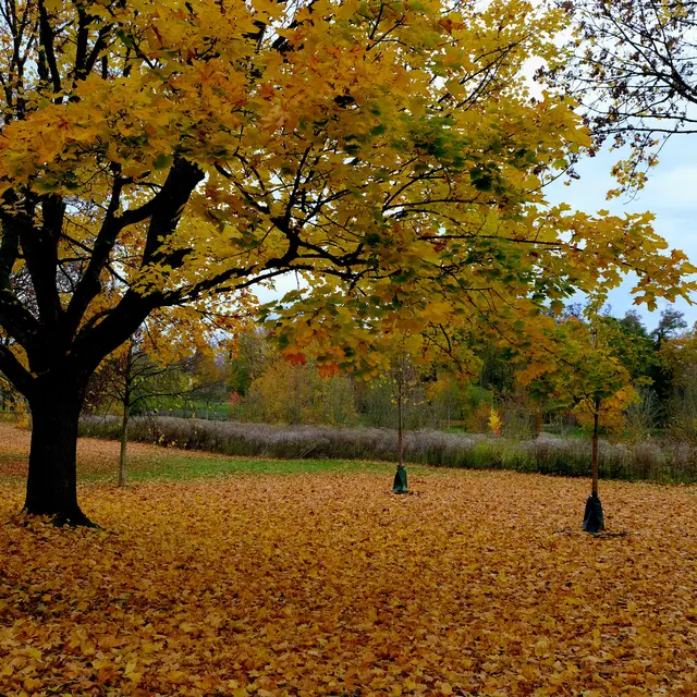 Foto: Eduard Warenik