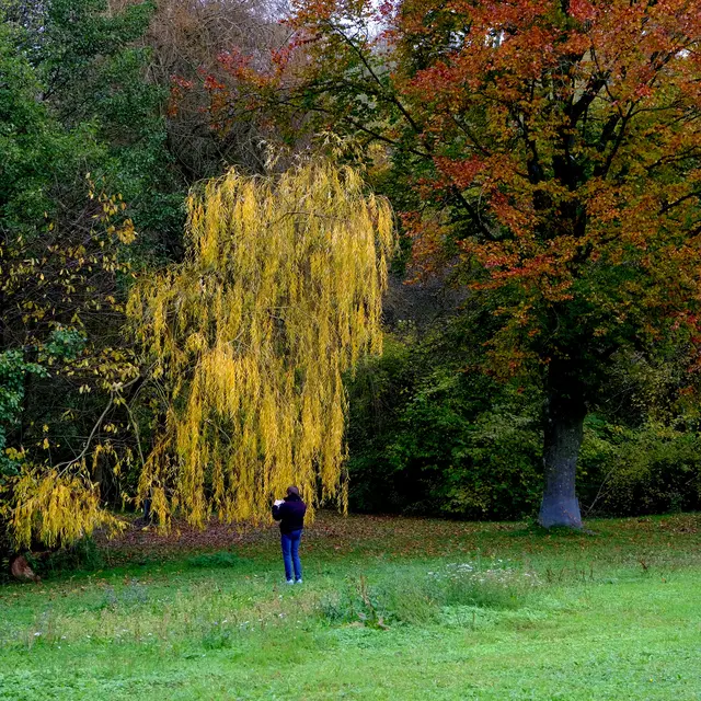 Foto: Eduard Warenik