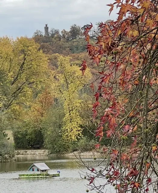 Bild wurde am 01.11.25 von mir aufgenommen  | Foto: Claudia Gondek