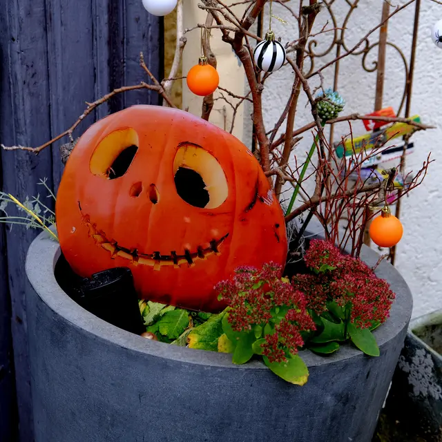 Foto: Eduard Warenik