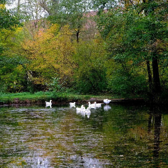 Foto: Eduard Warenik