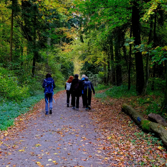 Foto: Eduard Warenik