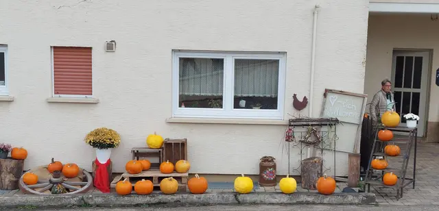 Auch in reihen ist das Angebot an Kürbissen groß! Leider waren sie zum Mitnehmen im Rucksack zu groß und zu schwer. | Foto: Foto privat