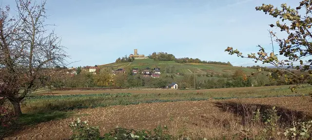 Das herrliche Panorama täuscht: Der Weg führt erst noch hinunter nach Weiler und von dort hoch auf den 55 Mio alten Vulkan. | Foto: Foto privat