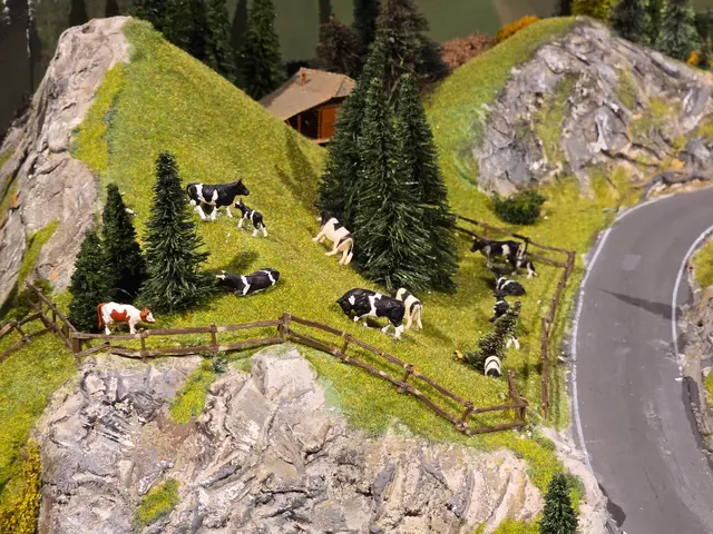 Foto: Heidrun Rosenberger