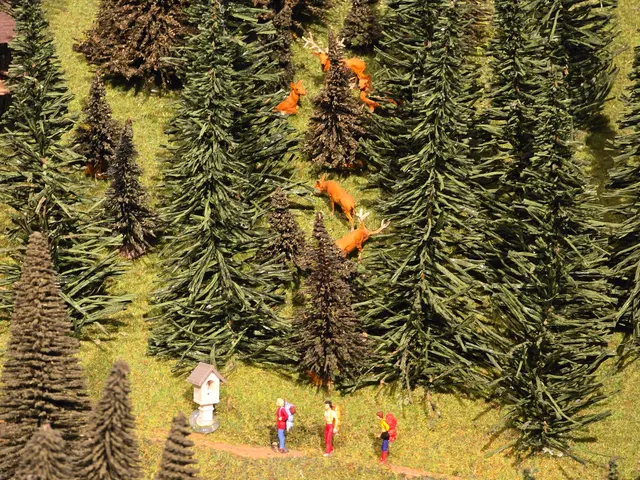 Foto: Heidrun Rosenberger
