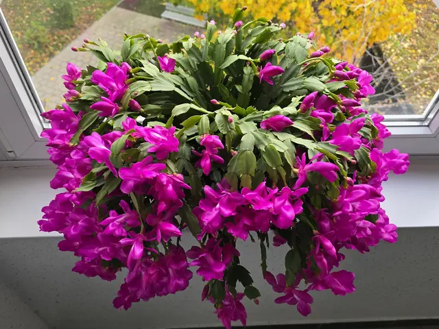 Foto: Heidrun Rosenberger