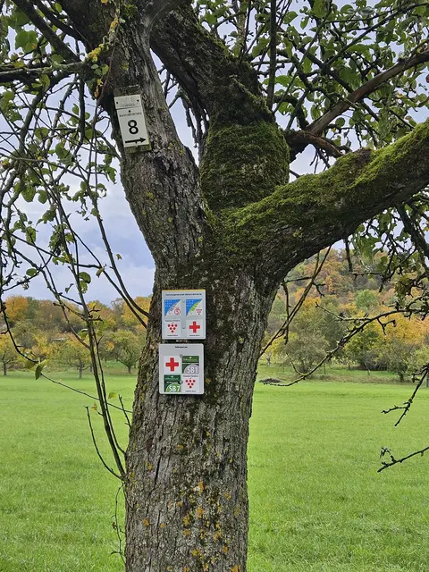 Foto: SAV OG Talheim