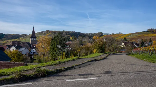 Haberschlacht | Foto: ehw