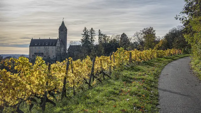 Stocksberg im Gegenlicht | Foto: ehw