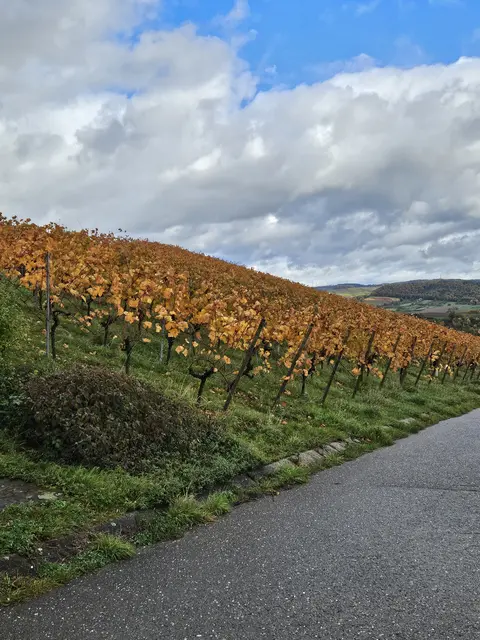 Foto: SAV OG Talheim