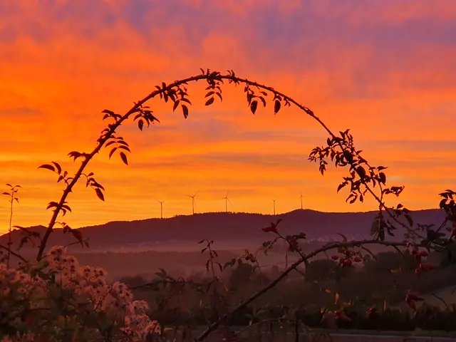 Foto: Reiner Bäuerle