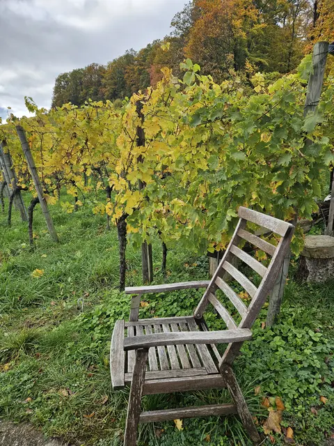 Foto: SAV OG Talheim