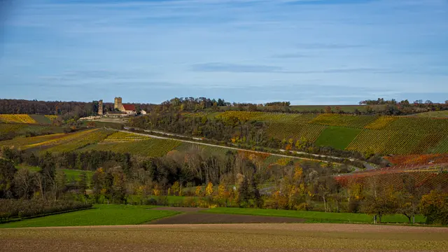 Nach Neipperg | Foto: ehw