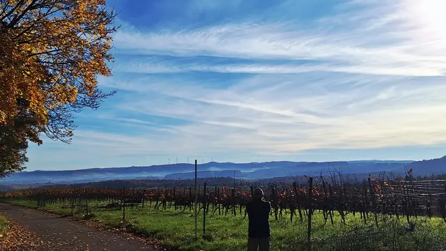 Blick vom Jungenberg | Foto: Albverein Weinsberg