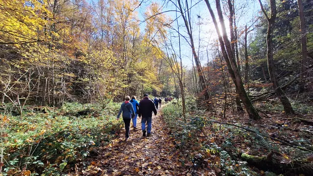 Herrlich das Farbenspiel im Steinbruch | Foto: Albverein Weinsberg