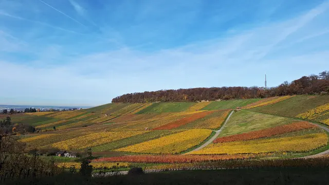 Ein Farbenrausch | Foto: Albverein Weinsberg