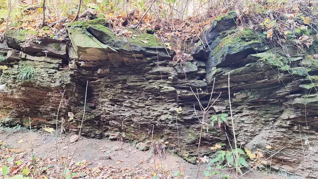 Im Steinbruch | Foto: Albverein Weinsberg