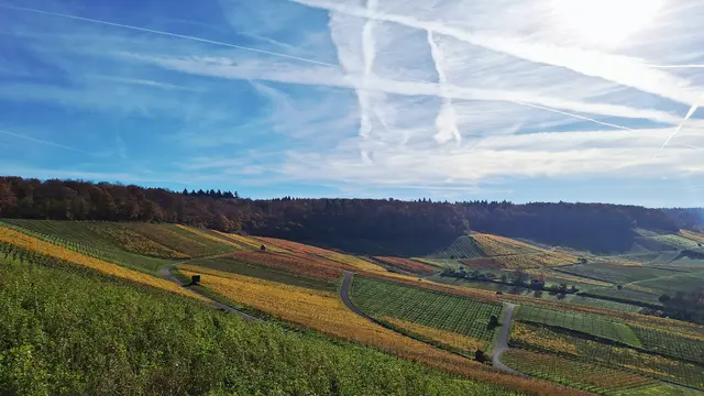 Foto: Albverein Weinsberg