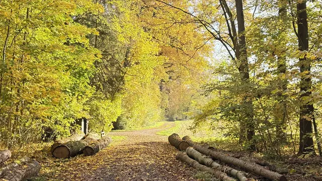 Foto: Eigenes Foto von GT