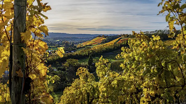 Blick in Richtung Weiler | Foto: ehw