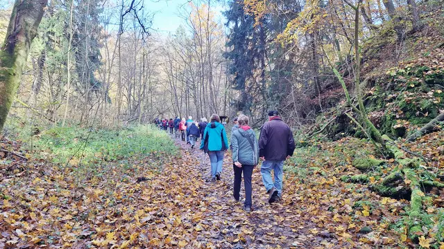 Wanderschlange | Foto: Albverein Weinsberg