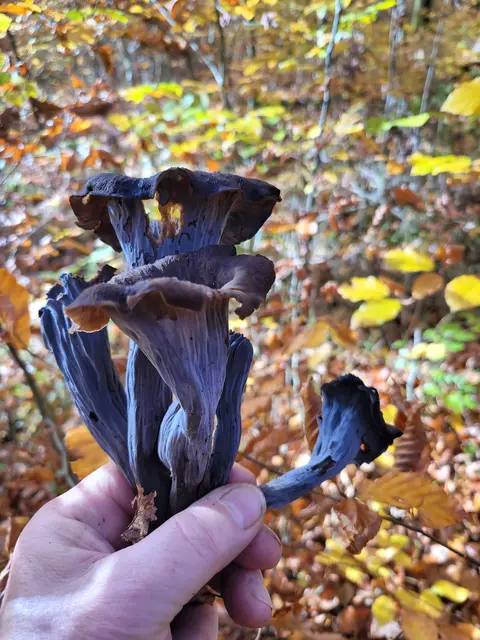 Foto: Hans Peter Schmitt